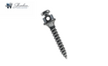Orthodontic Mini Implant Screw