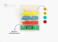 Wooden Dental Wedges Kit – Assorted Sizes (S, M, L, XL)
